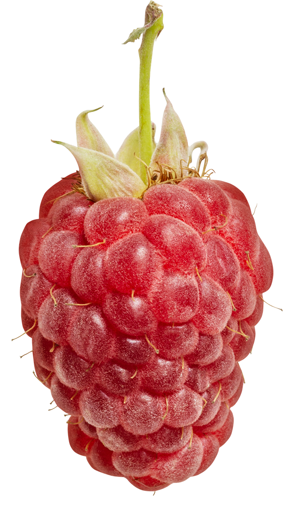 rasp berry images, rasp berry png, rasp berry png image, rasp berry transparent png image, rasp berry png full hd images download